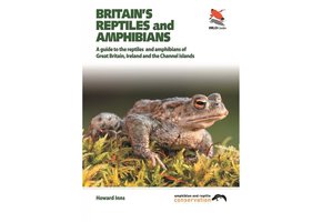 Britain's Reptiles and Amphibians