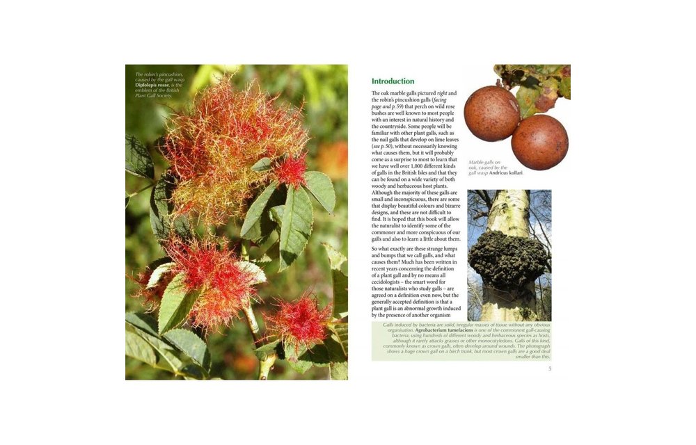 Britain's Plant Galls - A photographic guide