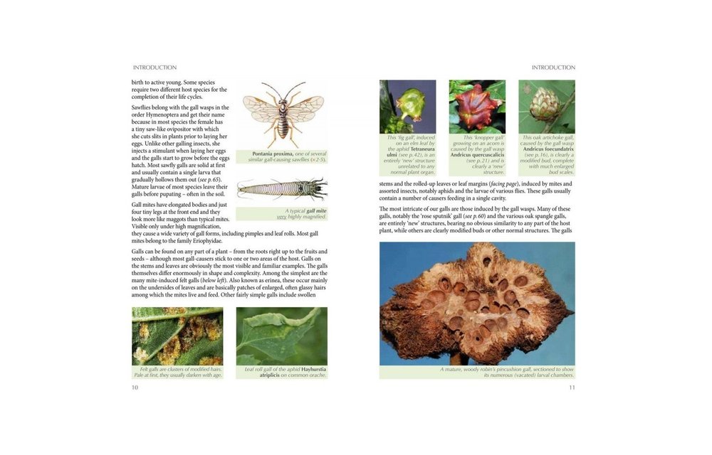 Britain's Plant Galls - A photographic guide