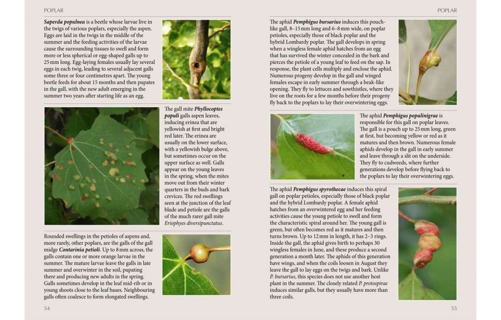 Britain's Plant Galls - A photographic guide