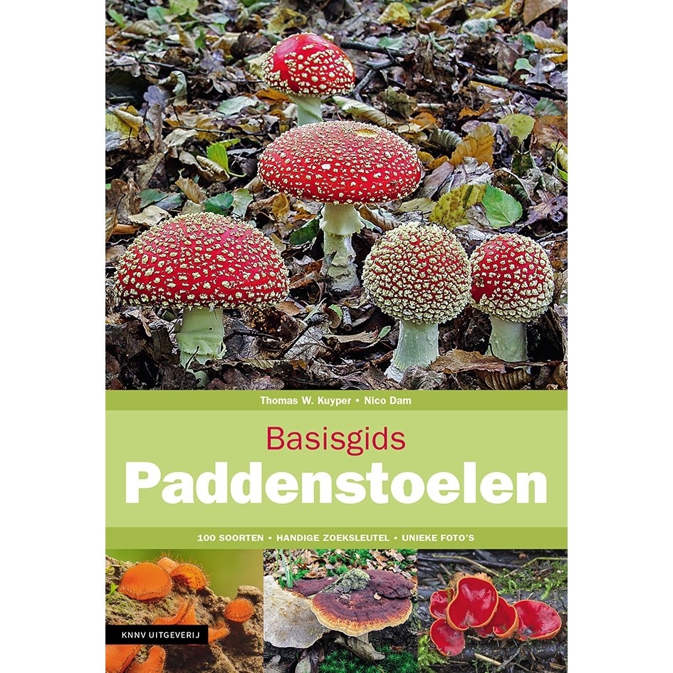 Basisgids Paddenstoelen