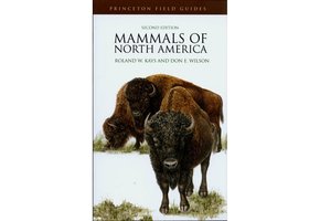 Mammals of North America