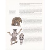 Primates of the World - An illustrated guide