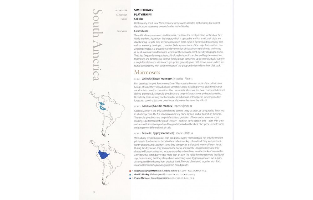 Primates of the World - An illustrated guide