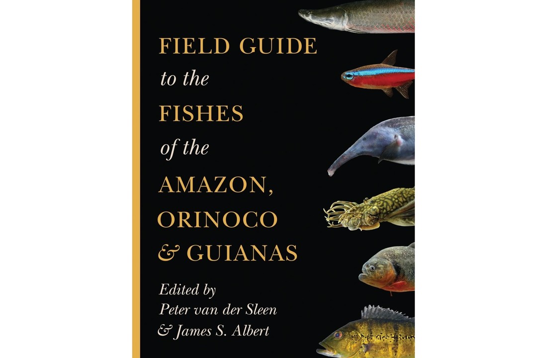 Field Guide to the Fishes of the Amazon, Orinoco & Guianas