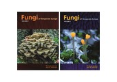 Fungi of Temperate Europe (2-Volume Set)