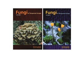 Fungi of Temperate Europe (2-Volume Set)