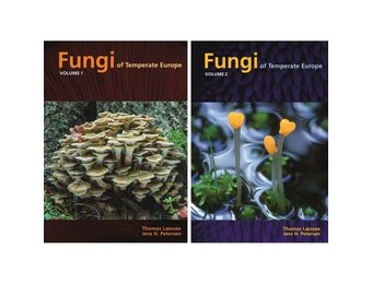 Fungi of Temperate Europe (2-Volume Set) - Veldshop.nl