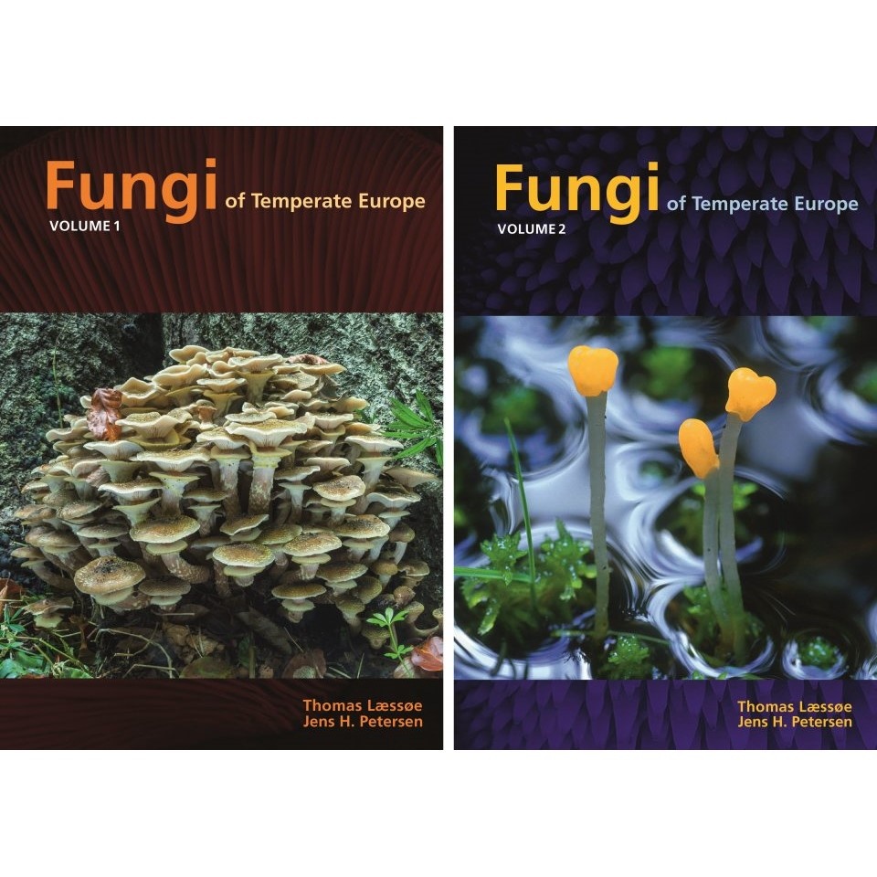 Fungi of Temperate Europe (2-Volume Set)