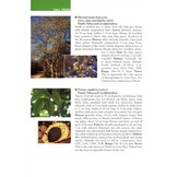 A Field Guide to Plants of Costa Rica