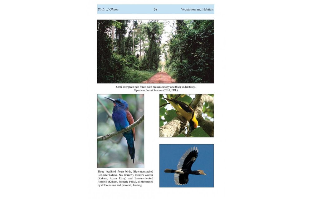 The Birds of Ghana - An Atlas and Handbook