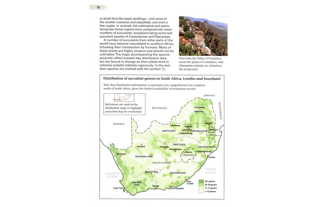 Field Guide to Succulents in Southern Africa