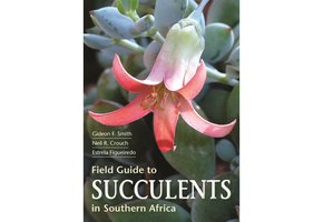 Field Guide to Succulents in Southern Africa