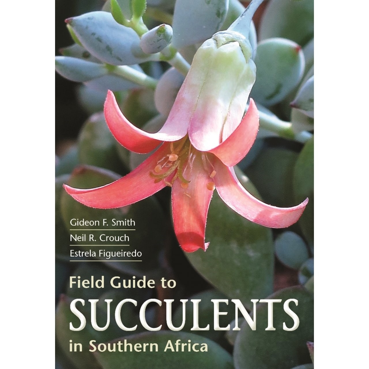 Field Guide to Succulents in Southern Africa