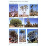 Field Guide to Trees of Southern Africa