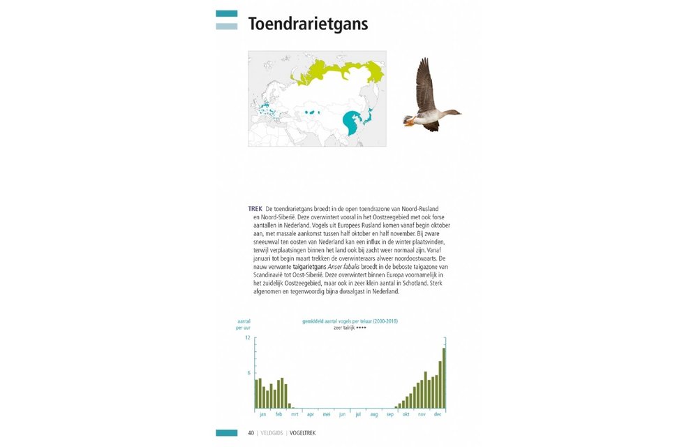 Veldgids Vogeltrek - trekvogels herkennen aan hun roep