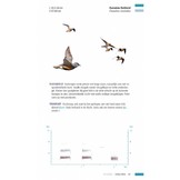 Veldgids Vogeltrek - trekvogels herkennen aan hun roep
