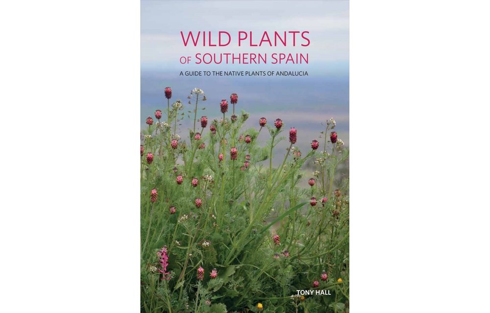 Wild Plants of Southern Spain - A Guide to the Native Plants of Andalucia