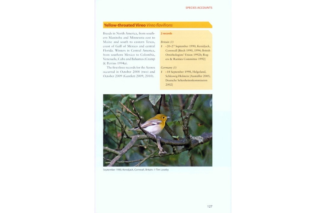 Extremely rare birds in the Western Palearctic