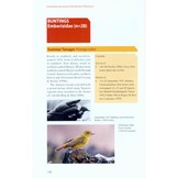 Extremely rare birds in the Western Palearctic