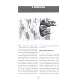 The Black Woodpecker - A monograph on Dryocopus martius