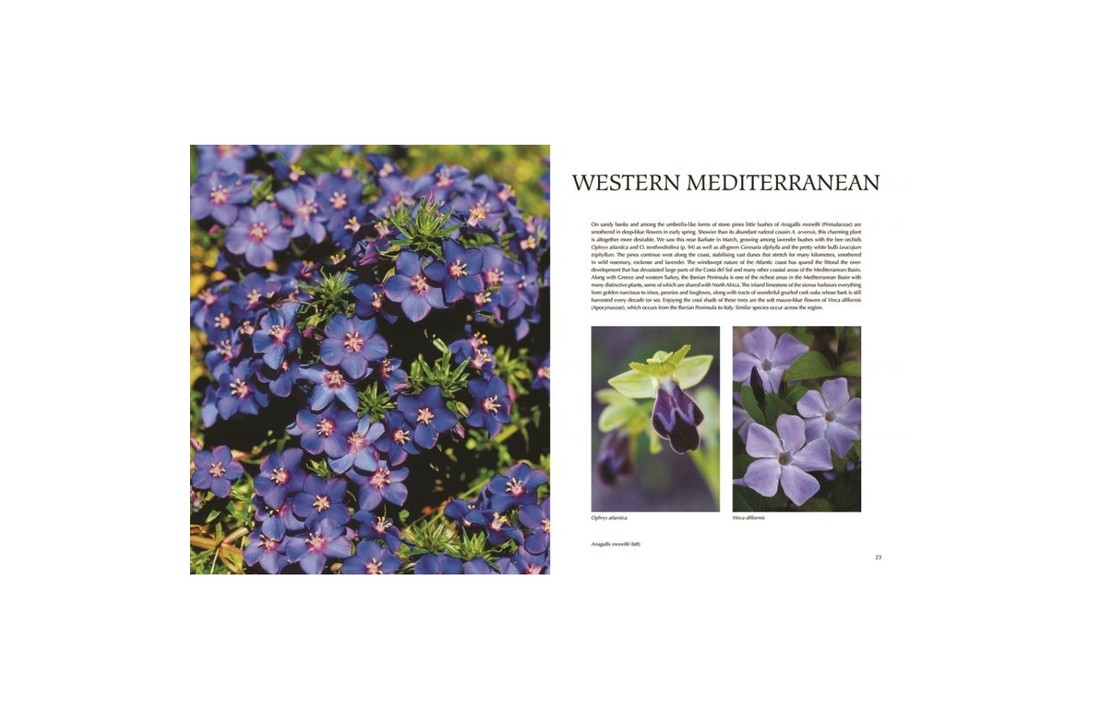 Flora of the Mediterranean - With California, Chile, Australia & South Africa - An Illustrated Guide