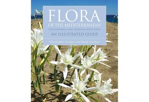 Flora of the Mediterranean