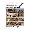 Amphibians and Reptiles of Morocco