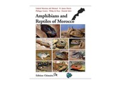 Amphibians and Reptiles of Morocco