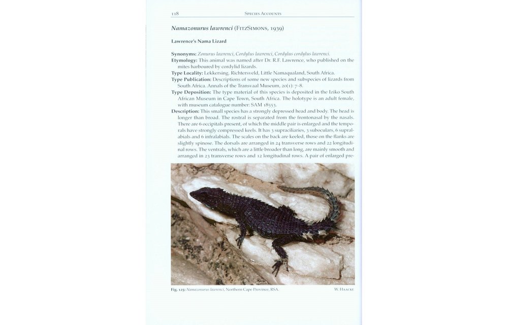 Girdled Lizards and their Relatives - Natural History, Captive Care and Breeding