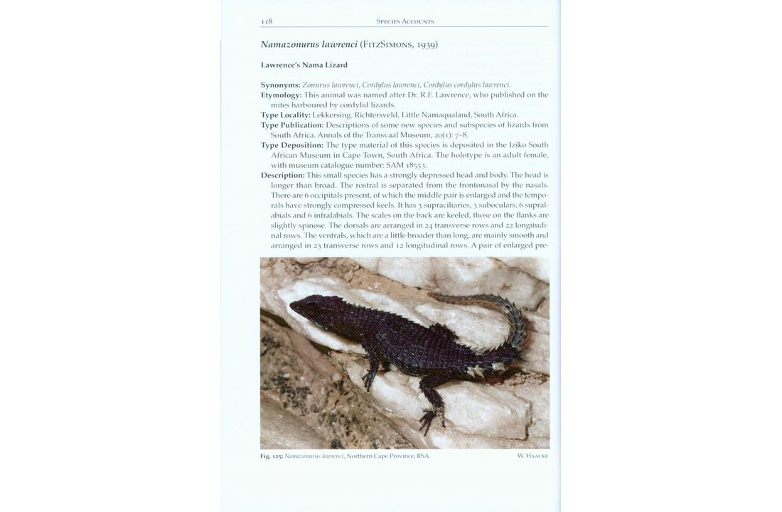 Girdled Lizards and their Relatives - Natural History, Captive Care and Breeding