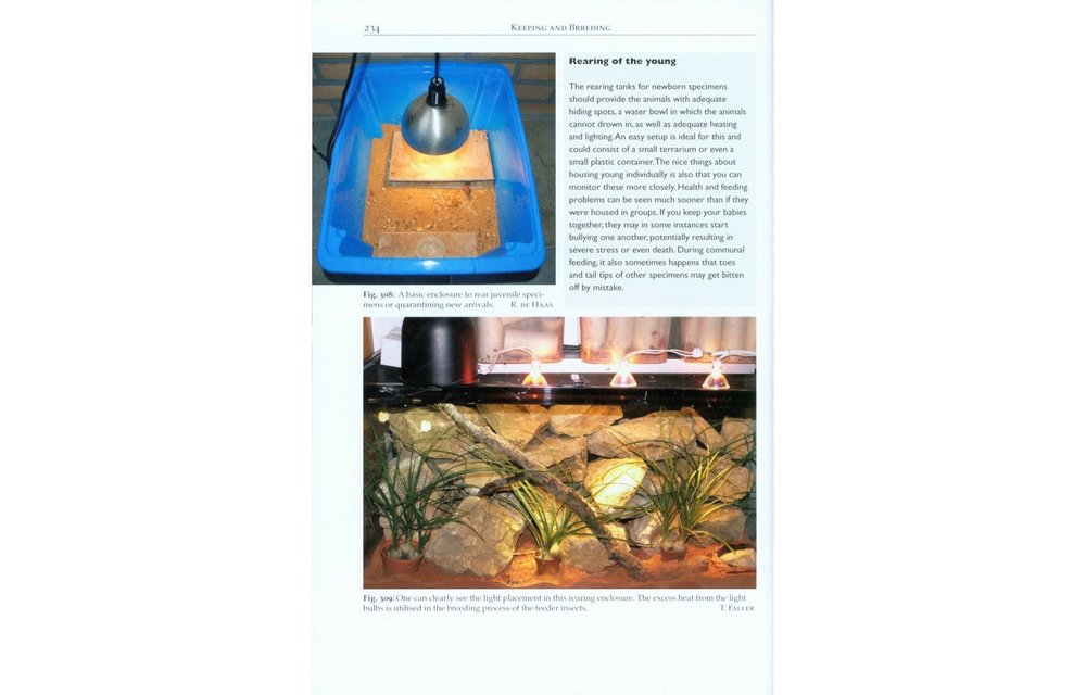 Girdled Lizards and their Relatives - Natural History, Captive Care and Breeding