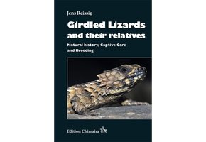 Girdled Lizards and their Relatives