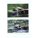 The Turtles of Russia and Other Ex-Soviet Republics