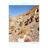 The Turtles of Russia and Other Ex-Soviet Republics