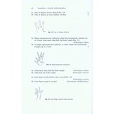 Amphibians of East Africa