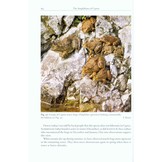 The Amphibians and Reptiles of Cyprus