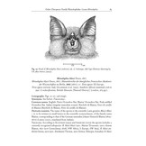 The Bats of Somalia and Neighbouring Areas