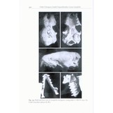 The Bats of Somalia and Neighbouring Areas