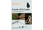 Lizards of Sri Lanka