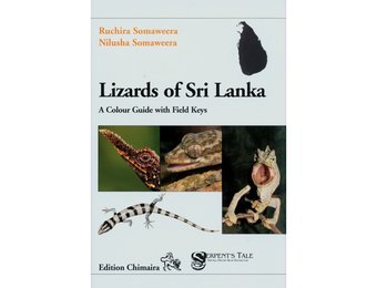 Lizards of Sri Lanka