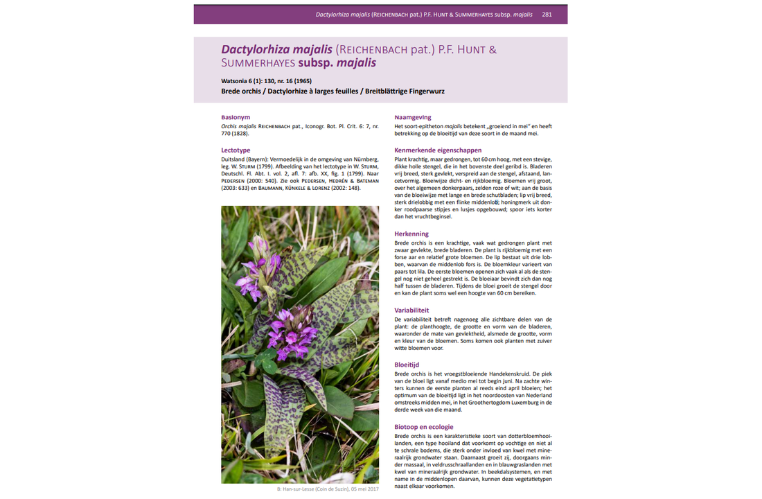 Orchideeën van de Benelux (2-set)
