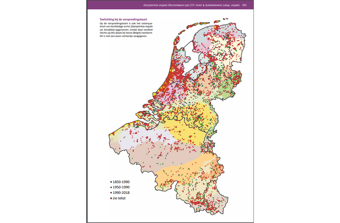 Orchideeën van de Benelux (2-set)