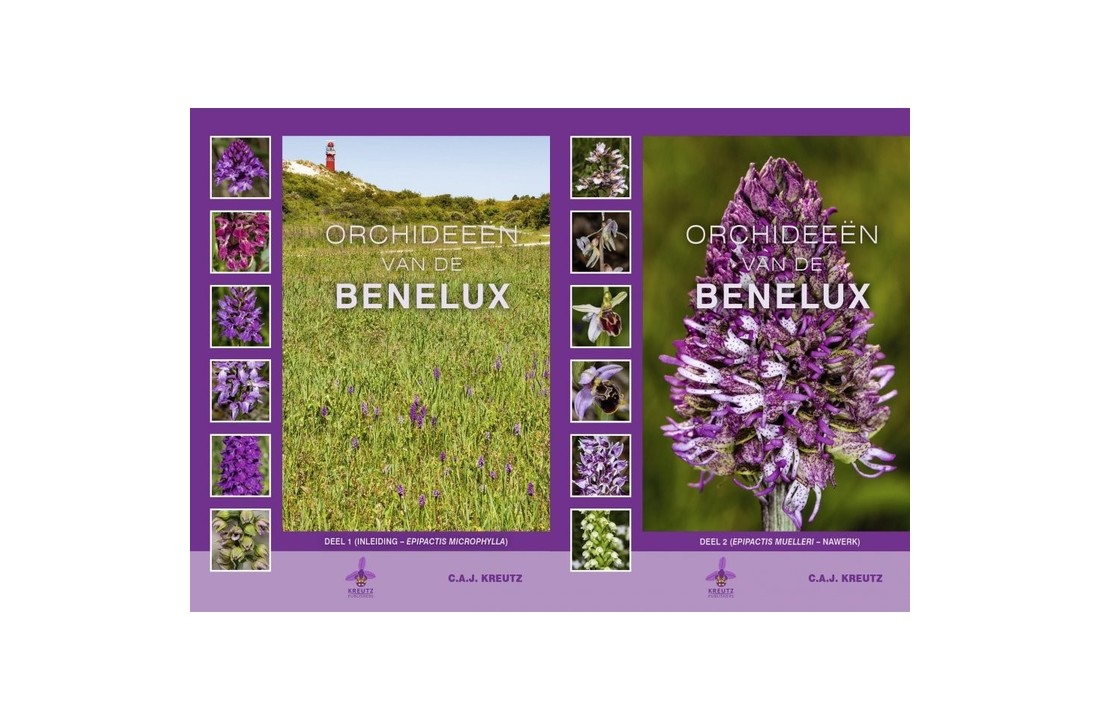 Orchideeën van de Benelux (2-set)