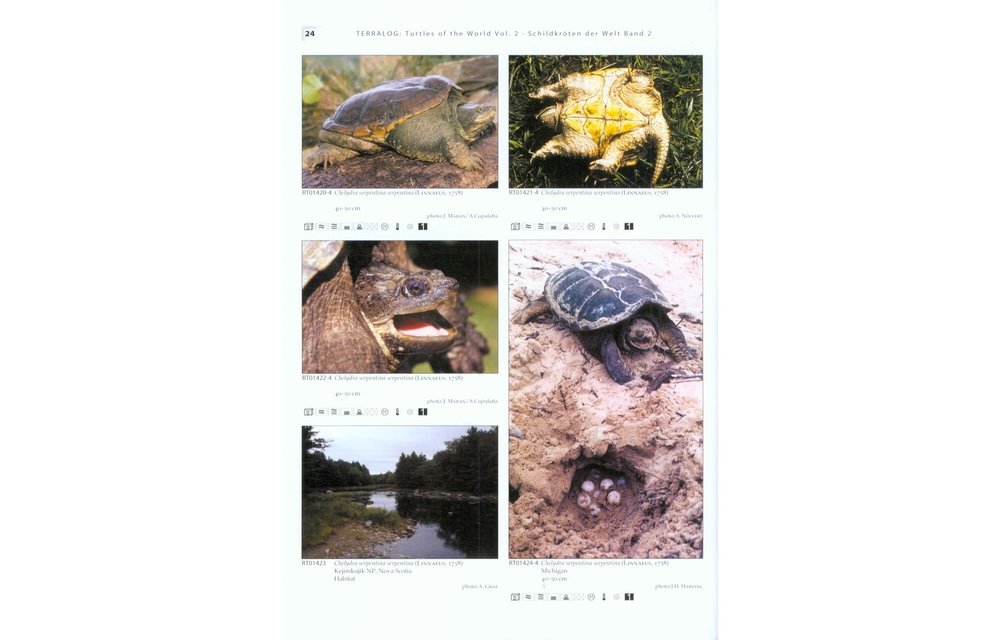 Terralog 2: Turtles of the World Vol. 2 North America/Schildkröten der Welt Band 2 Nordamerika