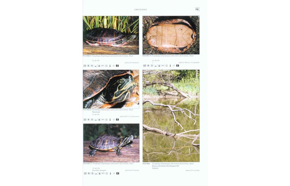 Terralog 2: Turtles of the World Vol. 2 North America/Schildkröten der Welt Band 2 Nordamerika