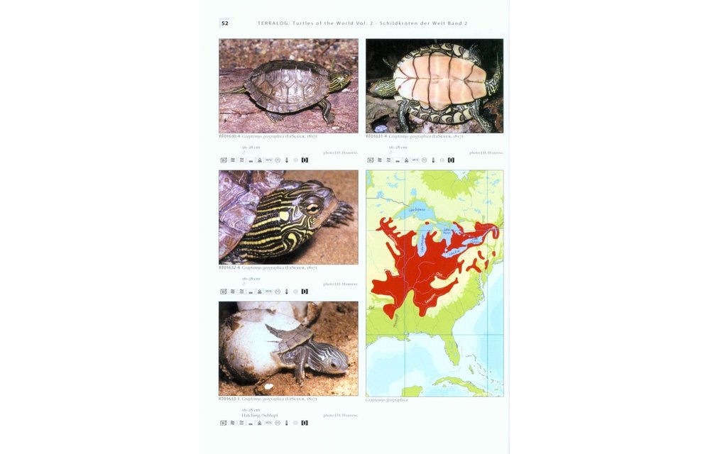 Terralog 2: Turtles of the World Vol. 2 North America/Schildkröten der Welt Band 2 Nordamerika