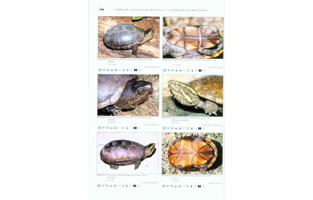 Terralog 2: Turtles of the World Vol. 2 North America/Schildkröten der Welt Band 2 Nordamerika