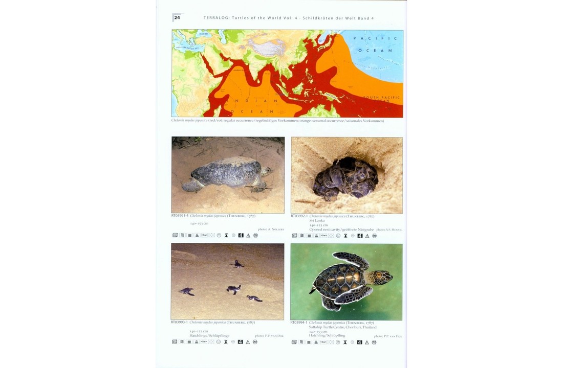 Terralog 4: Turtles of the World Vol. 4 East and South Asia/Schildkröten der Welt Band 4 Ost- und Südasien