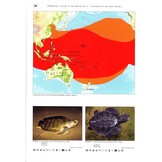 Terralog 5: Turtles of the World Vol. 5 Australia and Oceania/Schildkröten der Welt Band 5 Australien und Ozeanien